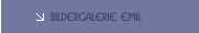 Bildergalerie EMIL